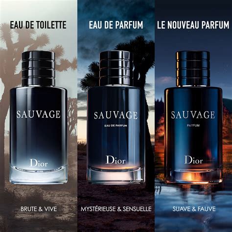 eau sauvage dior date sortie|when was Dior Sauvage released.